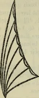 An illustration from The two paths ; Love's meinie ; also, Val d'arno ; The pleasures of England ; Mornings in Florence ; Time and tide ; The art of England ; Notes on the construction of sheepfolds (1800)