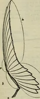 An illustration from The two paths ; Love's meinie ; also, Val d'arno ; The pleasures of England ; Mornings in Florence ; Time and tide ; The art of England ; Notes on the construction of sheepfolds (1800)