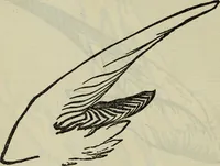 Picture 18 of 32 from The two paths ; Love's meinie ; also, Val d'arno ; The pleasures of England ; Mornings in Florence ; Time and tide ; The art of England ; Notes on the construction of sheepfolds (1800), leaf 215