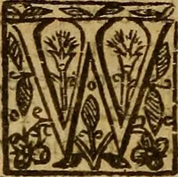 An illustration from Two treatises : first the practicall catechisme, wherein those principall truthes, which most directly, tend to life and godlinesse, are handled ; secondly, a treatise of the two sacraments .. (1640)