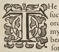 An illustration from Two treatises : in the one of which, the nature of bodies : in the other, the nature of mans soule, is looked into : in way of discovery of the immortality of reasonable soules (1645)