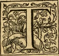 An illustration from Two and twentie sermons of Maister Iohn Calvin : in which sermons is most religiously handled the hundredth and nineteenth Psalme of David, by eight verses aparte according to the Hebrewe alphabet (1580)