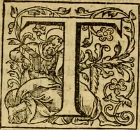 An illustration from Two and twentie sermons of Maister Iohn Calvin : in which sermons is most religiously handled the hundredth and nineteenth Psalme of David, by eight verses aparte according to the Hebrewe alphabet (1580)