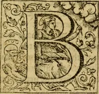 An illustration from Two and twentie sermons of Maister Iohn Calvin : in which sermons is most religiously handled the hundredth and nineteenth Psalme of David, by eight verses aparte according to the Hebrewe alphabet (1580)