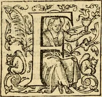 An illustration from Two and twentie sermons of Maister Iohn Calvin : in which sermons is most religiously handled the hundredth and nineteenth Psalme of David, by eight verses aparte according to the Hebrewe alphabet (1580)