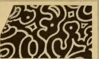 An illustration from Typfarben auf Baumwolle : gedruckt und geätzt = Standard colours on cotton : printed and discharged (1900)
