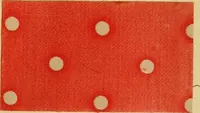 An illustration from Typfarben auf Baumwolle : gedruckt und geätzt = Standard colours on cotton : printed and discharged (1900)