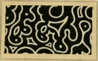 An illustration from Typfarben auf Baumwolle : gedruckt und geätzt = Standard colours on cotton : printed and discharged (1900)
