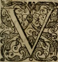 An illustration from Typicus hieropolitarcha, in antitypo expressus, anno Christi eodem : quo Theodorus Adolphus Paderbornensis Antistes XXXXVI a suis rite inauguratus ista sua exhibebat insignia (1651)