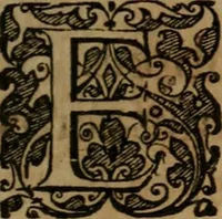 An illustration from Typicus hieropolitarcha, in antitypo expressus, anno Christi eodem : quo Theodorus Adolphus Paderbornensis Antistes XXXXVI a suis rite inauguratus ista sua exhibebat insignia (1651)