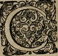 An illustration from Typicus hieropolitarcha, in antitypo expressus, anno Christi eodem : quo Theodorus Adolphus Paderbornensis Antistes XXXXVI a suis rite inauguratus ista sua exhibebat insignia (1651)