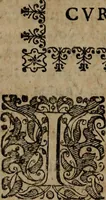 An illustration from Typicus hieropolitarcha, in antitypo expressus, anno Christi eodem : quo Theodorus Adolphus Paderbornensis Antistes XXXXVI a suis rite inauguratus ista sua exhibebat insignia (1651)