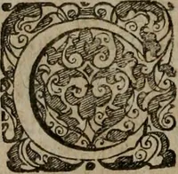 An illustration from Typicus hieropolitarcha, in antitypo expressus, anno Christi eodem : quo Theodorus Adolphus Paderbornensis Antistes XXXXVI a suis rite inauguratus ista sua exhibebat insignia (1651)