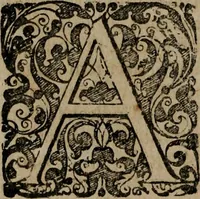 An illustration from Typicus hieropolitarcha, in antitypo expressus, anno Christi eodem : quo Theodorus Adolphus Paderbornensis Antistes XXXXVI a suis rite inauguratus ista sua exhibebat insignia (1651)