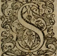 An illustration from Typicus hieropolitarcha, in antitypo expressus, anno Christi eodem : quo Theodorus Adolphus Paderbornensis Antistes XXXXVI a suis rite inauguratus ista sua exhibebat insignia (1651)