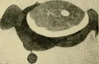 An illustration from The typography of advertisements that pay : how to choose and combine type faces, engravings and all the other mechanical elements of modern advertisement construction (1917)