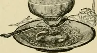 An illustration from The typography of advertisements that pay : how to choose and combine type faces, engravings and all the other mechanical elements of modern advertisement construction (1917)