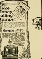 An illustration from The typography of advertisements that pay : how to choose and combine type faces, engravings and all the other mechanical elements of modern advertisement construction (1917)