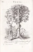 Picture 2 of 33 from Typus mundi, in quo eius calamitates et pericula nec non diuini, humanique amoris antipathia emblematice proponuntur (1627), leaf 20