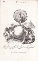 Picture 10 of 33 from Typus mundi, in quo eius calamitates et pericula nec non diuini, humanique amoris antipathia emblematice proponuntur (1627), leaf 52
