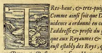 An illustration from Tyrannies et cruautez des Espagnols, commises es Indes Occidentales, qu'on dit le nouueau monde. (1630)