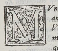 An illustration from Tyrociniorum (1578)