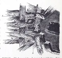 Picture 1 of 7 from Über die Maltechnik der Alten : mit besonderer Berücksichtigung der römisch-pompejanischen Wandmalerei, nebst einer Anleitung zur mikroskopischen Untersuchung der Kunstwerke (1910), leaf 16