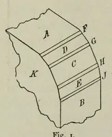 Picture 1 of 7 from Ueber Harmonie und Complication (1901), leaf 14
