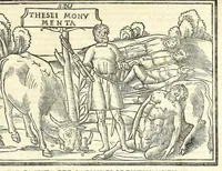 Picture 1 of 40 from Uitae Plutarchi Cheronei : nouissime post Jodocũ Badiũ Ascẽsium lõge diligentius repositae, maioreq[ue] diligẽtia castigatae, cũ copiosiore verioreq[ue] indice : necnon cũ Aemilij Probi vitis : una cũ figuris suis locis apte dispositis (1516), leaf 57
