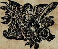 An illustration from Ulrici Huberi De jure civitatis, libri tres : novam juris publici universalis disciplinam continentes : insertis aliquot de jure sacrorum & Ecclesiae, capitibus (1694)