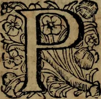 An illustration from Ulrici Huberi De jure civitatis, libri tres : novam juris publici universalis disciplinam continentes : insertis aliquot de jure sacrorum & Ecclesiae, capitibus (1694)