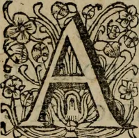 An illustration from Ulrici Huberi De jure civitatis, libri tres : novam juris publici universalis disciplinam continentes : insertis aliquot de jure sacrorum & Ecclesiae, capitibus (1694)