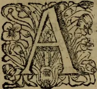 An illustration from Ulrici Huberi De jure civitatis, libri tres : novam juris publici universalis disciplinam continentes : insertis aliquot de jure sacrorum & Ecclesiae, capitibus (1694)