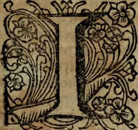 An illustration from Ulrici Huberi De jure civitatis, libri tres : novam juris publici universalis disciplinam continentes : insertis aliquot de jure sacrorum & Ecclesiae, capitibus (1694)