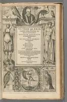Picture 7 of 8 from Ulyssis Aldrovandi... Historiam naturalem...de animalibus insectis libri septem.. (1618), leaf 337