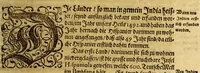 An illustration from Umbständige warhafftige Beschreibung der indianischen Ländern, so vor diesem von den Spaniern eingenommeu [sic] und verwüst worden .. (1665)