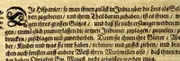 An illustration from Umbständige warhafftige Beschreibung der indianischen Ländern, so vor diesem von den Spaniern eingenommeu [sic] und verwüst worden .. (1665)
