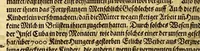An illustration from Umbständige warhafftige Beschreibung der indianischen Ländern, so vor diesem von den Spaniern eingenommeu [sic] und verwüst worden .. (1665)