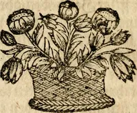 An illustration from Umständige geographische Beschreibung der zu allerletzt erfundenen Provintz Pensylvaniæ, in denen end-gräntzen Americæ in der West-Welt gelegen, / durch Franciscum Danielem Pastorium ... Worbey angehencket sind einige notable Begebenheiten, / und bericht-schreiben an dessen Herzn Vattern Melchiorem Adamum Pastorium, und andere gute Freunde (1700)