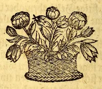 An illustration from Umständige geographische Beschreibung der zu allerletzt erfundenen Provintz Pensylvaniae, : in denen End-Gräntzen Americae in der West-Welt gelegen, (1700)