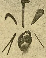 An illustration from Un coin du Congo : le cercle de Kundé (1903)