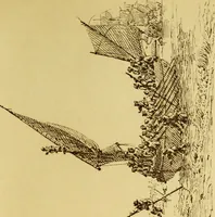 Picture 66 of 86 from Une famille d'artistes brestois au XVIIIe siècle: les Ozanne (1891), leaf 412