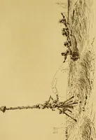 Picture 74 of 86 from Une famille d'artistes brestois au XVIIIe siècle: les Ozanne (1891), leaf 432