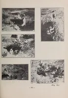 An illustration from Un gran descubrimiento arqueológico : los tecpaneca en el Valle de México (1920)