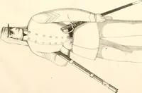 An illustration from Uniform and dress of the army of the Confederate States (1861)