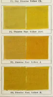 An illustration from Union shades dyed in slightly acid bath : British patent no. 270⁰⁹ (1900)