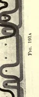 An illustration from Union textile fabrication, with numerous original diagrams, sectional drawings, and photographic re-productions of spun and woven specimens in the text (1920)