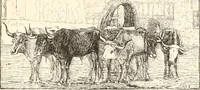 An illustration from The United States art directory and yearbook : [1st-2d year] : a guide for artists, art students, travellers, etc. (1888)