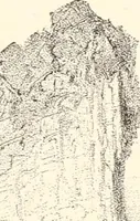 An illustration from The United States art directory and yearbook : [1st-2d year] : a guide for artists, art students, travellers, etc. (1888)