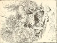 An illustration from The United States art directory and yearbook : [1st-2d year] : a guide for artists, art students, travellers, etc. (1888)
